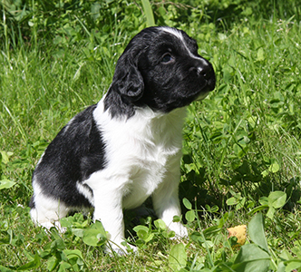 Jespe ensimmäistä kertaa ulkona